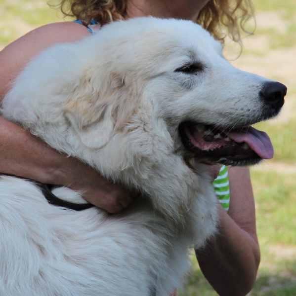 Kassarah romée La Joie Blanche